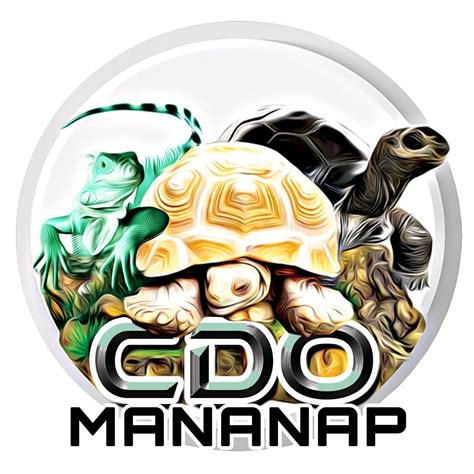 cdo walker|CDO walker .